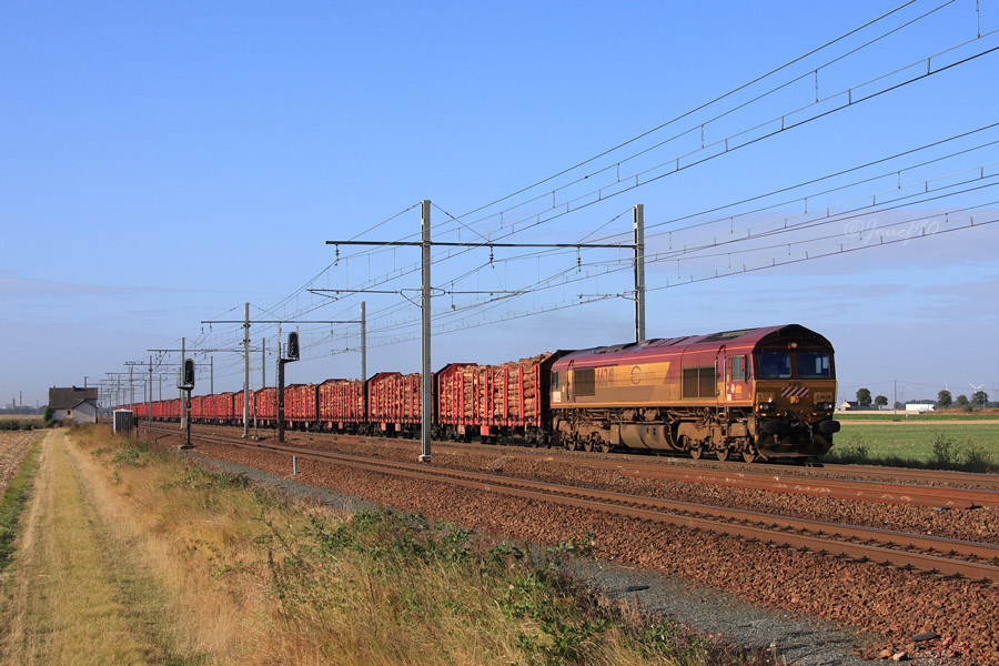 La Class 66241 remonte en ce jour un train complet de bois.