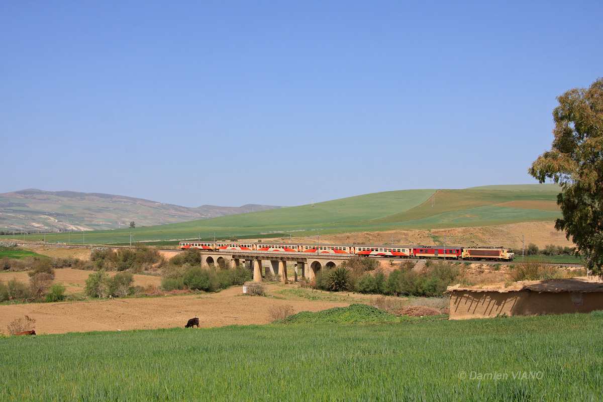 Le train n° 113 reliant Casablanca à Fès franchit un petit oued descendant des collines marocaines, au nord de Meknès.